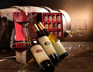 Сенсорная дегустация вин на винодельне Terre del Marchesato